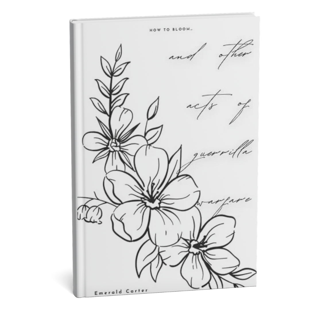 How to bloom… and other acts of guerrilla warfare